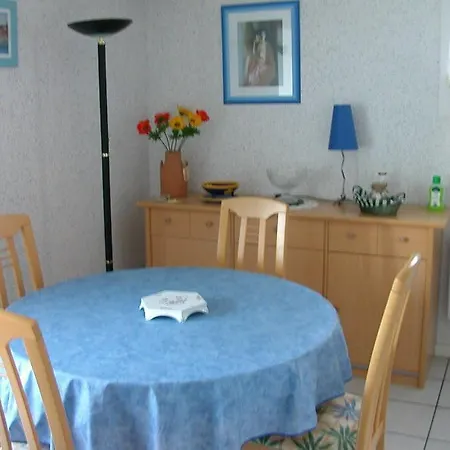 Les Sternes Royan